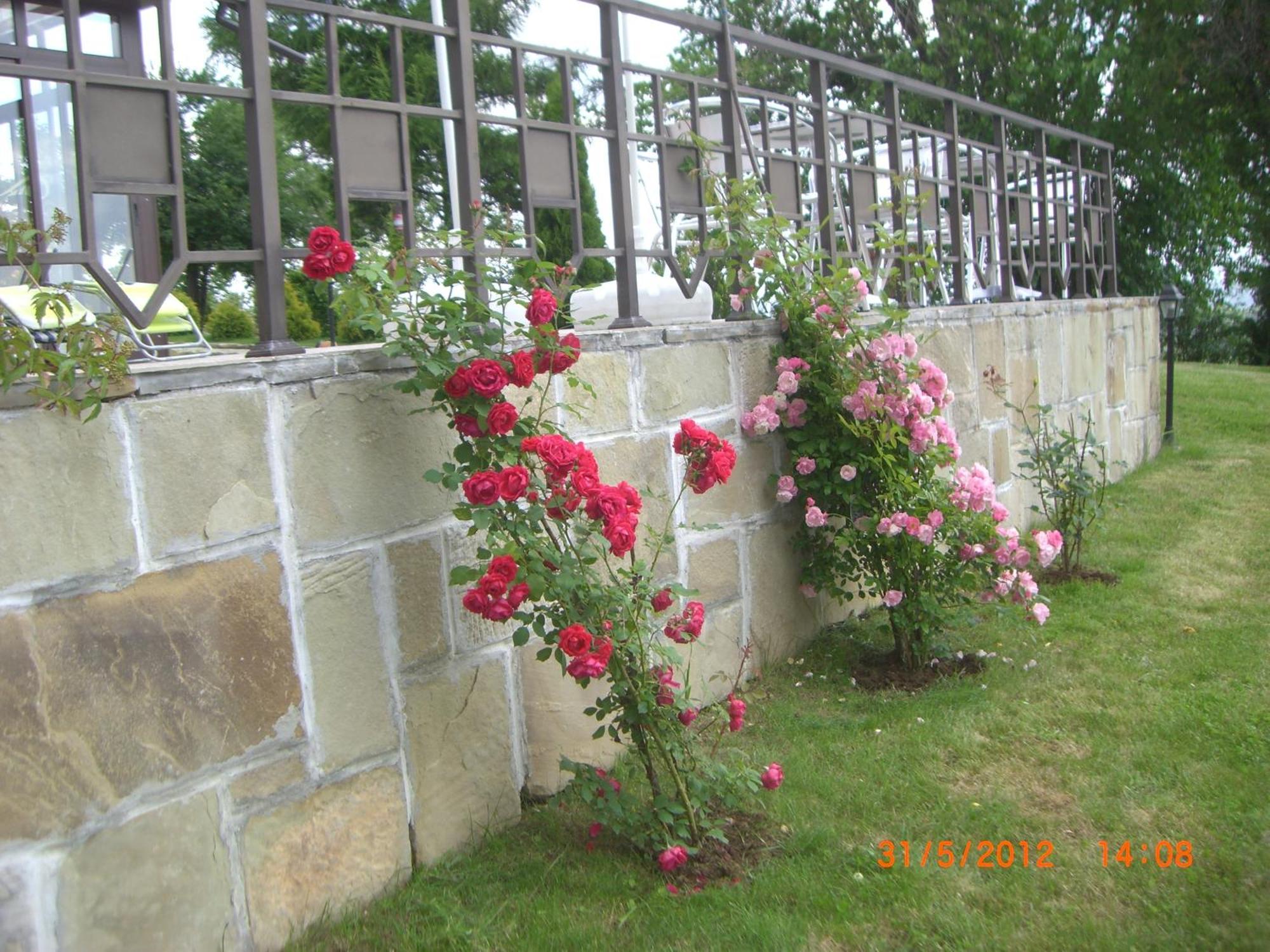 Park Hotel Arbanassi Extérieur photo